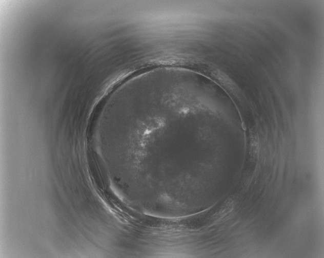 X0000062150626200512161235