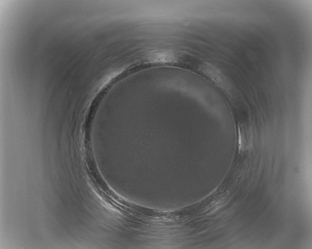 X0000062150627200512161235