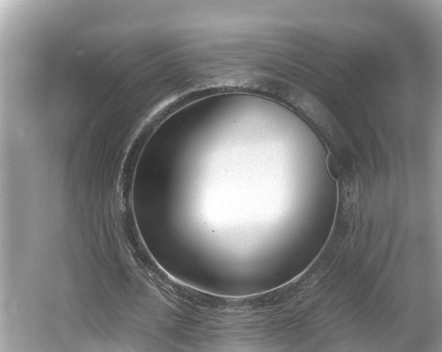 X0000062150628200512161235