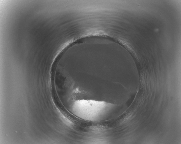 X0000062150630200512161235