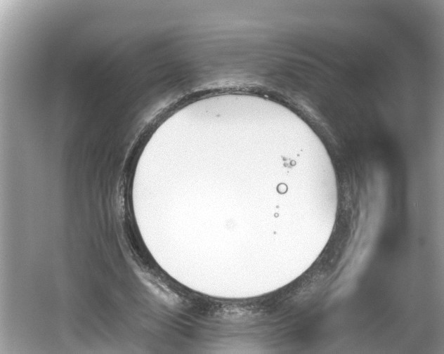 X0000062150632200512161235