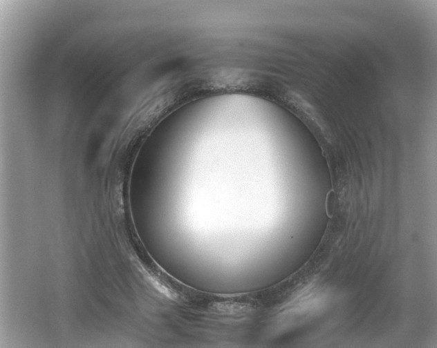 X0000062150633200512161235