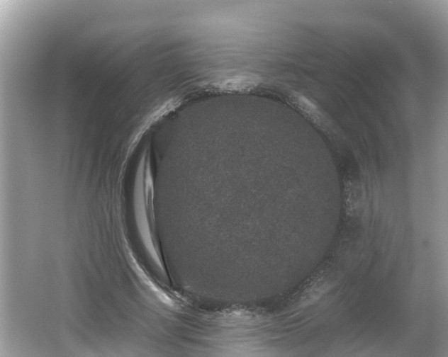 X0000062150634200512161235