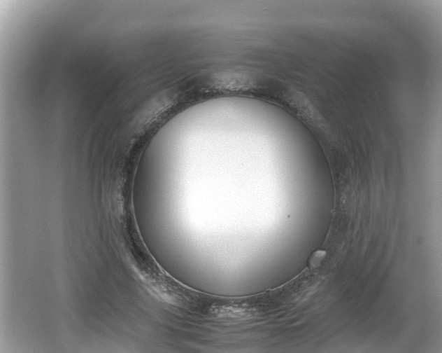 X0000062150635200512161235