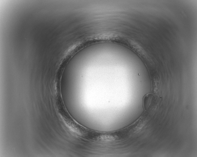 X0000062150636200512161235