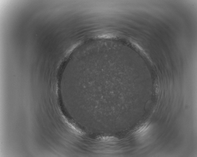 X0000062150637200512161235