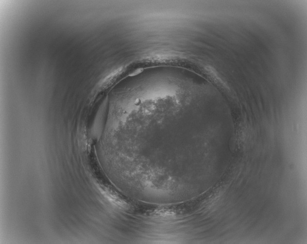 X0000062150640200512161235