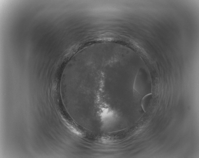 X0000062150641200512161235