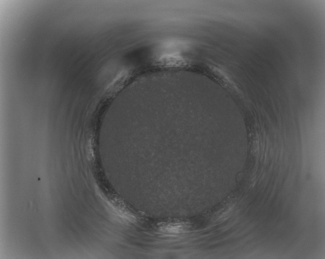 X0000062150643200512161235