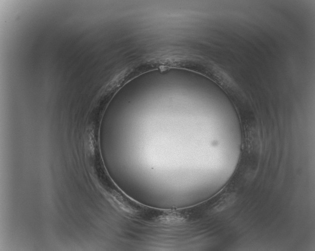 X0000062150644200512161235