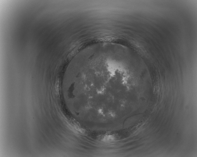 X0000062150647200512161235