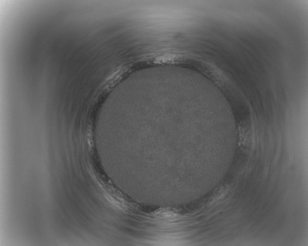 X0000062150648200512161235