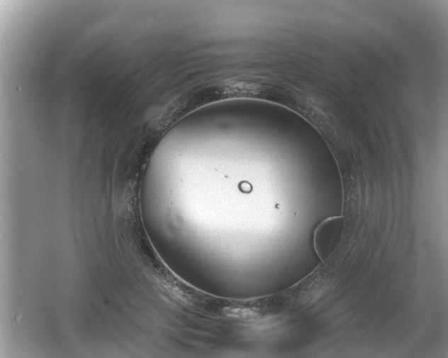 X0000062150649200512161235