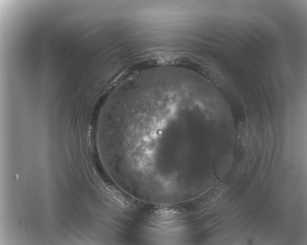 X0000062150650200512161235