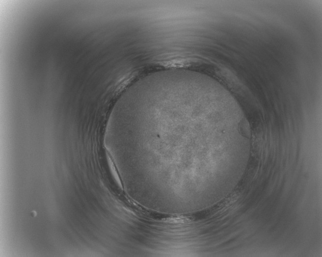 X0000062150652200512161235