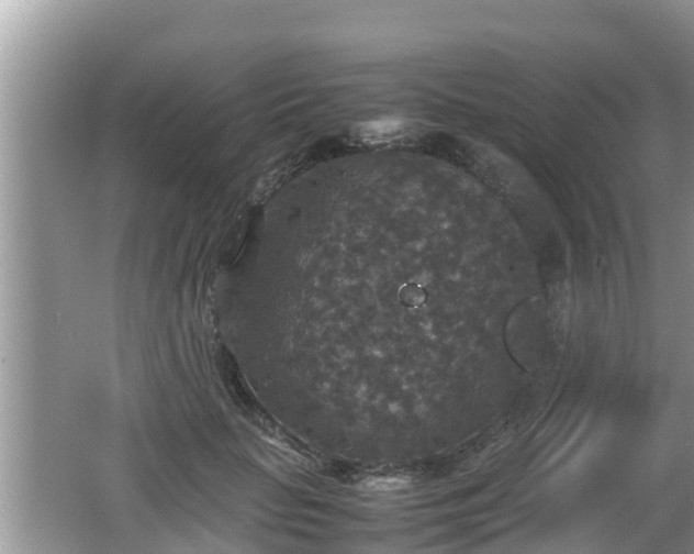 X0000062150653200512161235