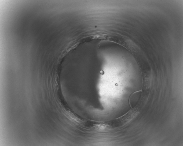 X0000062150654200512161235