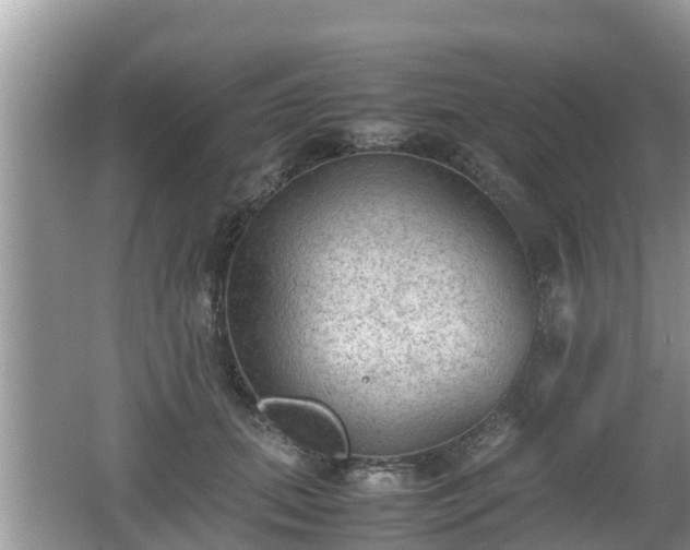 X0000062150655200512161235