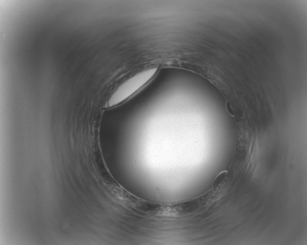 X0000062150656200512161235