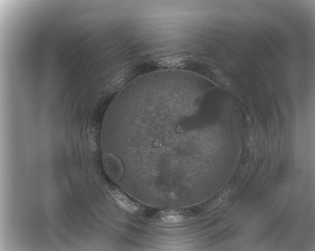 X0000062150658200512161236