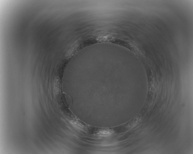 X0000062150659200512161236