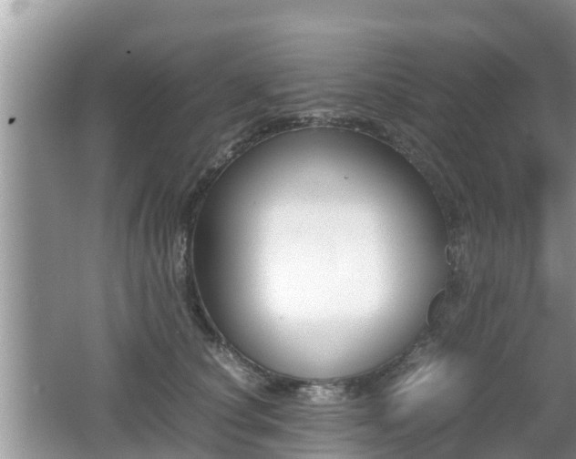 X0000062150660200512161236