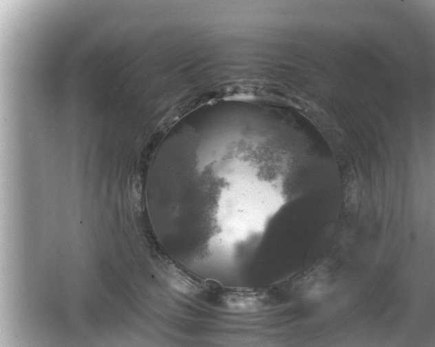 X0000062150661200512161236