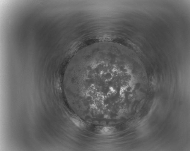 X0000062150663200512161236