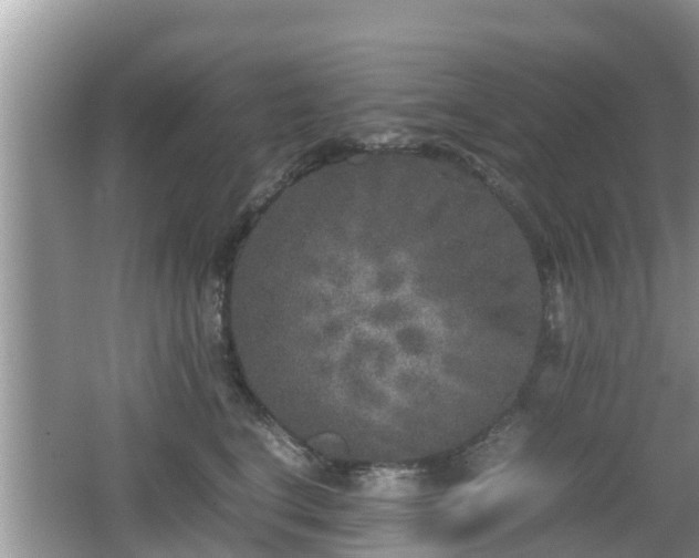 X0000062150664200512161236