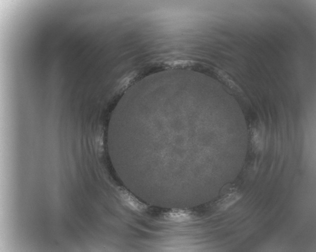 X0000062150668200512161236