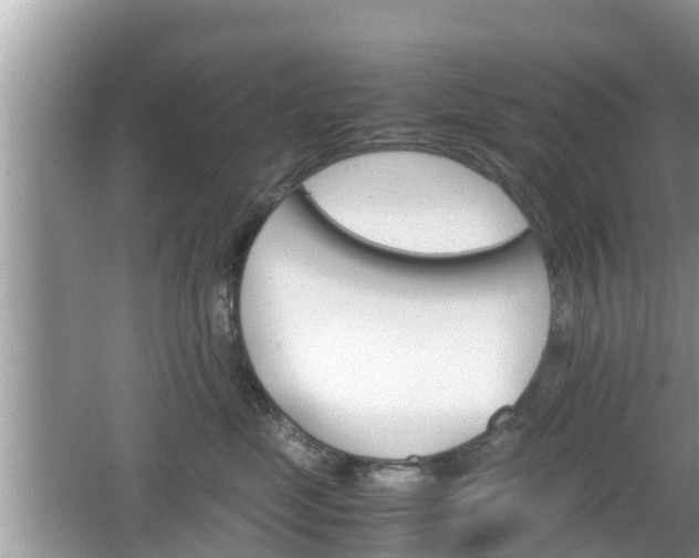 X0000062150669200512161236