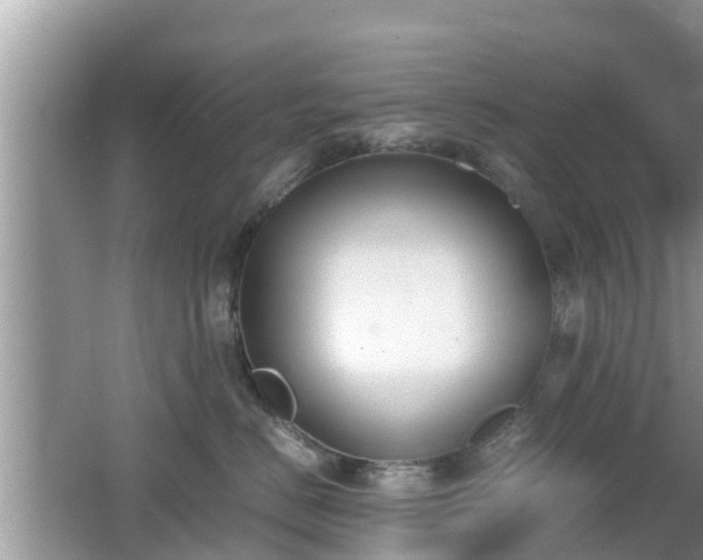 X0000062150670200512161236