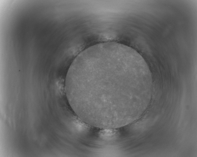 X0000062150672200512161236