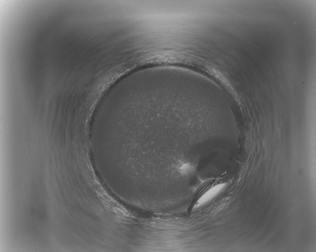 X0000062150673200512161235