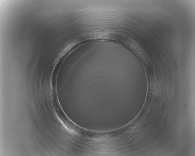 X0000062150674200512161235