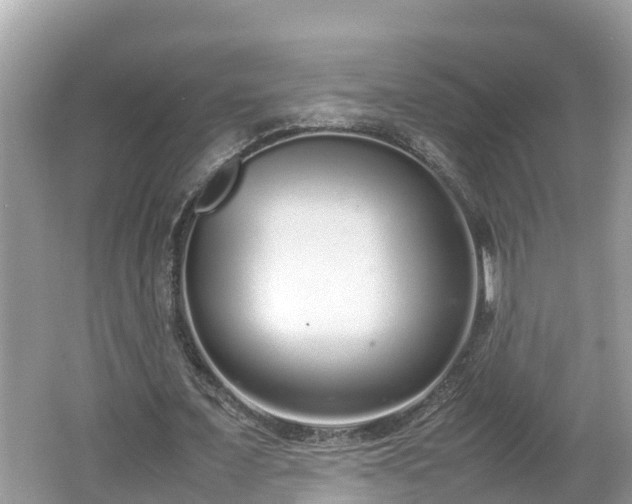 X0000062150675200512161235