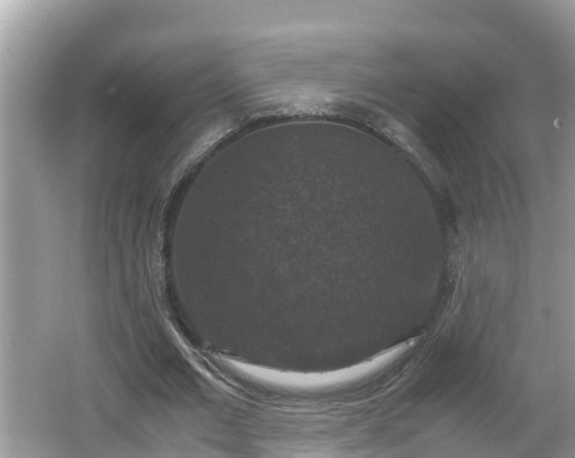 X0000062150677200512161235