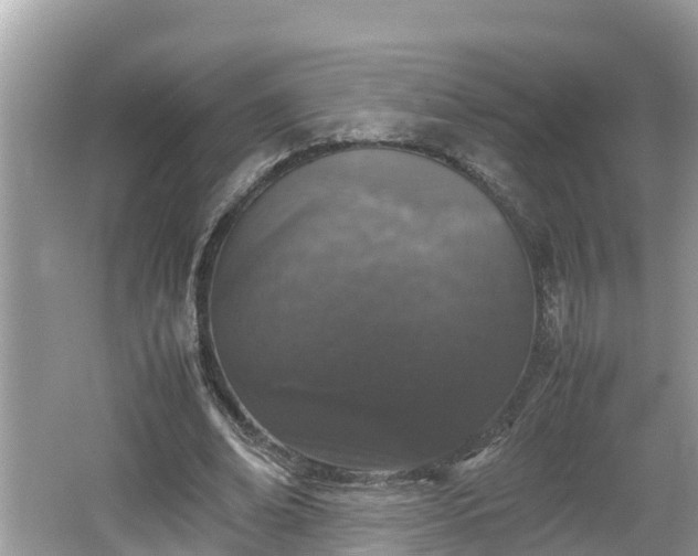 X0000062150678200512161235