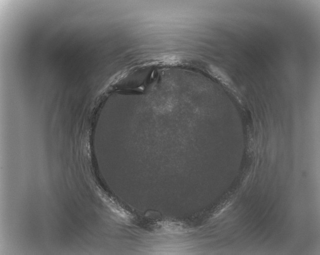 X0000062150681200512161235