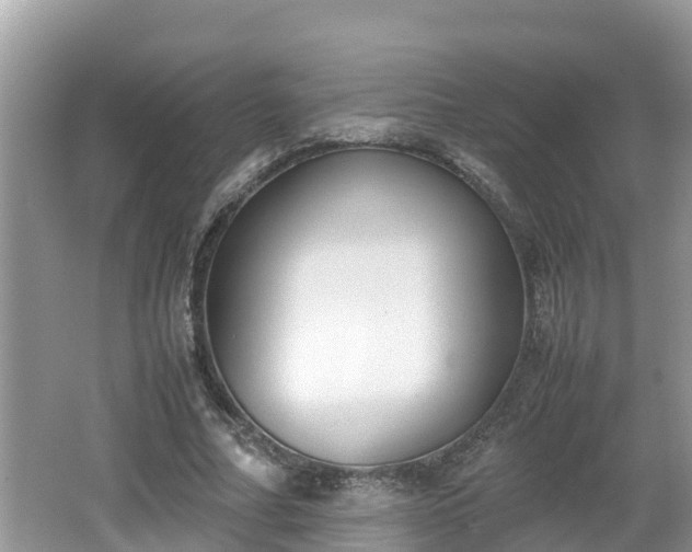 X0000062150682200512161235