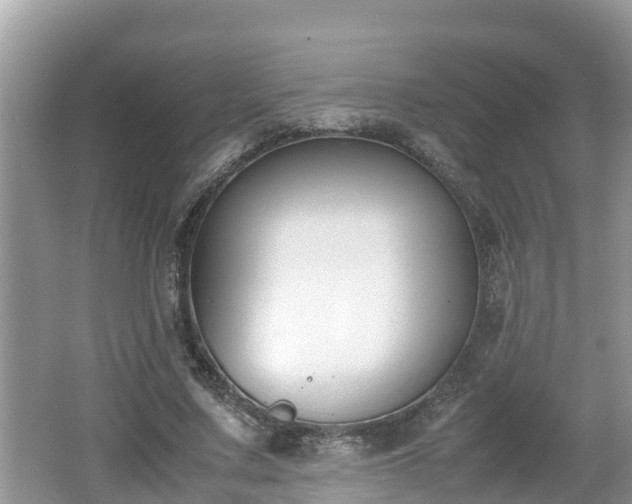 X0000062150683200512161235