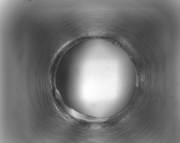 X0000062150684200512161235