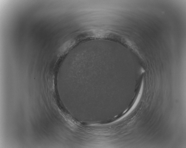 X0000062150685200512161235