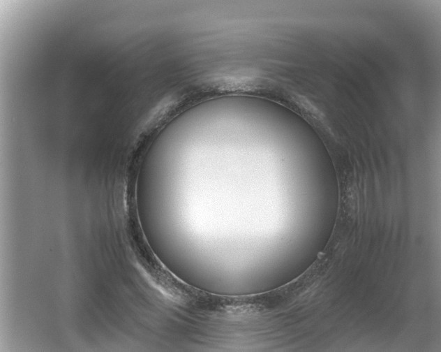 X0000062150686200512161235