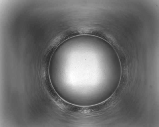 X0000062150687200512161235