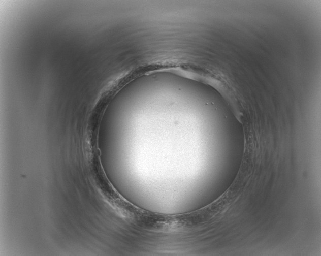 X0000062150688200512161235