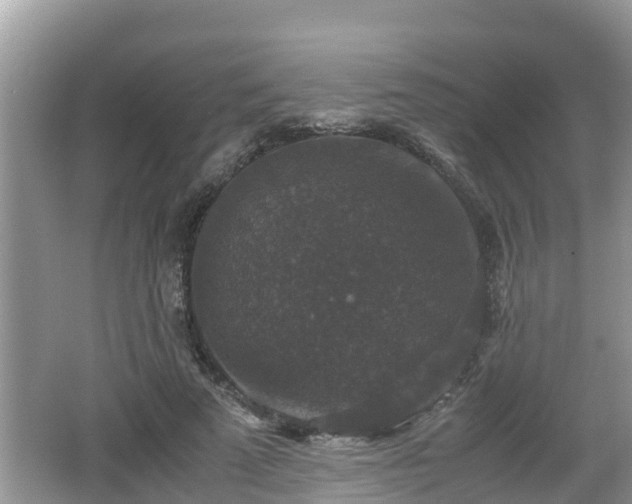 X0000062150689200512161235