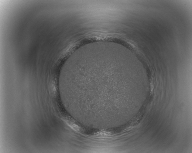 X0000062150691200512161235