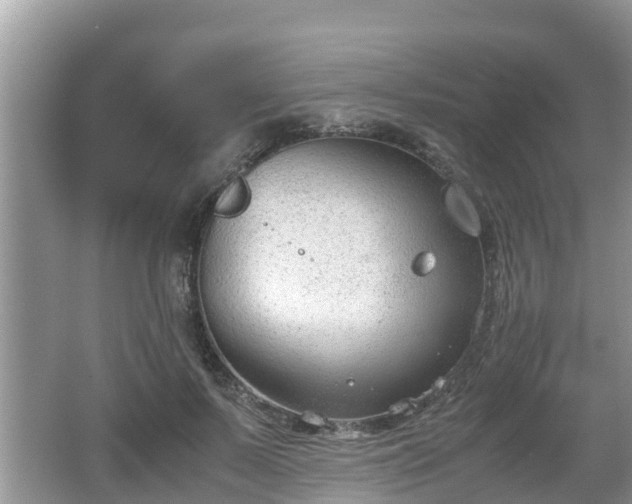 X0000062150695200512161235