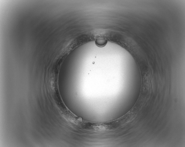 X0000062150698200512161234